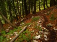 2014-08-02_06FritzPflaum-Steig (402).JPG